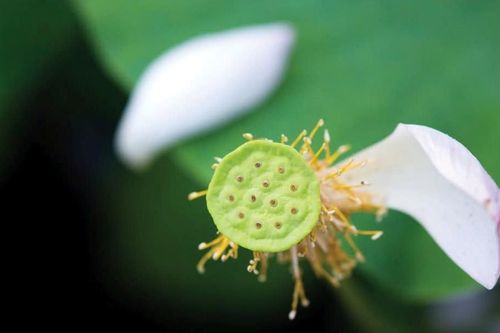 Hiểu lý nhân quả