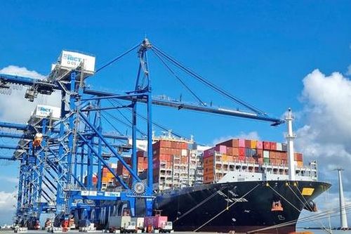 Hàng hải ứng phó thế nào trước nguy cơ hàng tồn đọng?