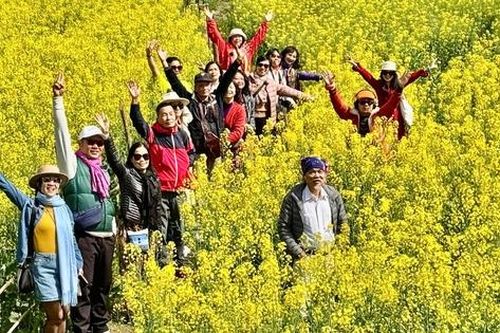 Du lịch Trung Quốc: Bất ngờ với vẻ đẹp khúc giao mùa đông - xuân