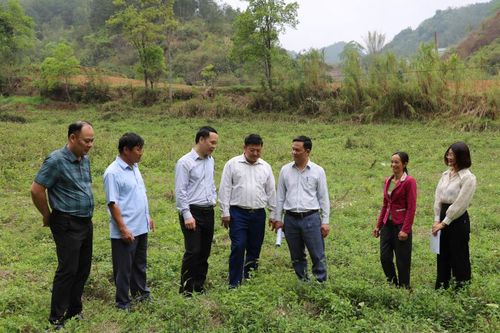 Ban Dân tộc HĐND tỉnh giám sát thực địa các dự án tại huyện Hà Quảng