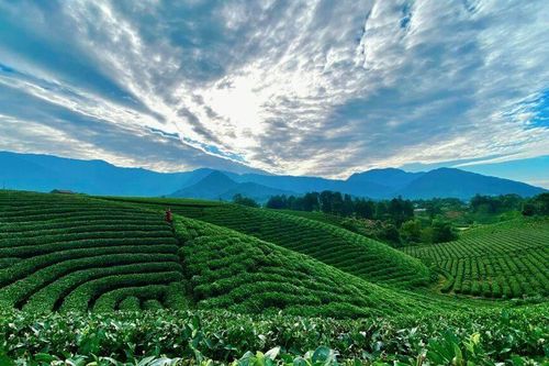 Bắc Kạn và Thái Nguyên từng sáp nhập thành tỉnh nào?