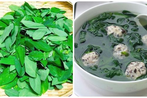 Ăn rau ngót hàng ngày có tốt?