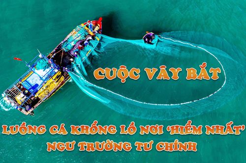 Cuộc vây bắt luồng cá khổng lồ nơi 'hiểm nhất' ngư trường Tư Chính