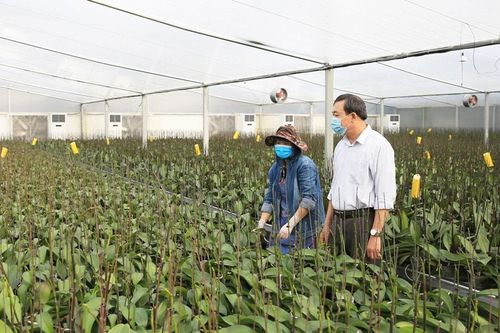 Số hóa trong lĩnh vực nông nghiệp:Tăng hiệu quả, giảm rủi ro