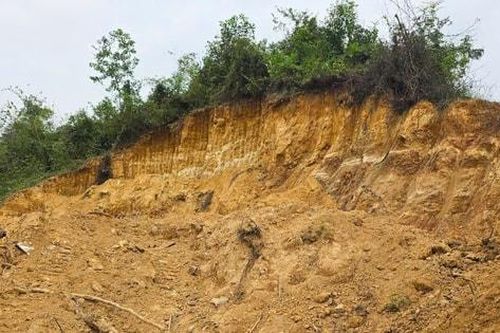 Hà Nội giao Công an điều tra các trường hợp san ủi đất, xây nhà trên đất lâm nghiệp