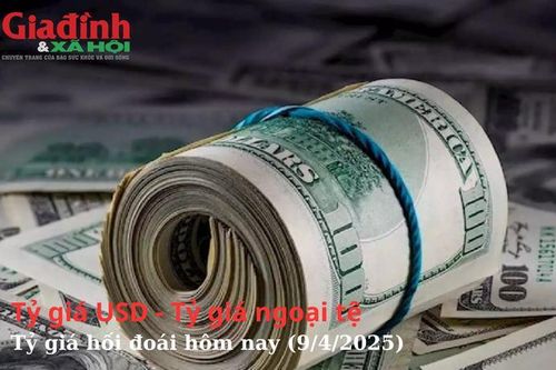 Tỷ giá USD - Tỷ giá ngoại tệ - Tỷ giá hối đoái hôm nay (9/4/2025)