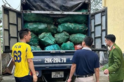 Sự thật kinh hãi trong thùng xe tải bốc mùi hôi thối