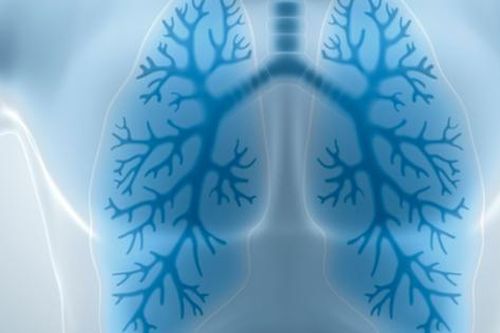 7 cách tự nhiên giúp làm sạch, thải độc phổi