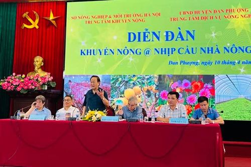 Khi nhà khoa học đồng hành cùng nông dân Đan Phượng
