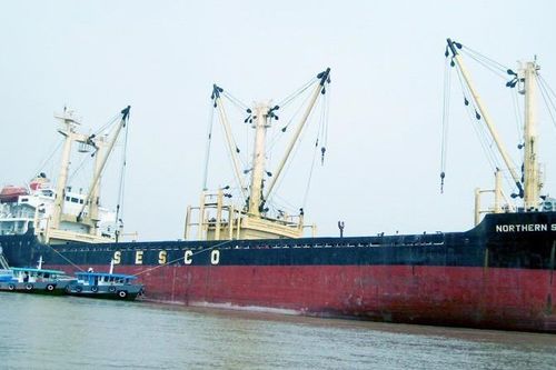 Vận tải biển Hải Âu (SSG) chia cổ tức khủng 120% bằng tiền