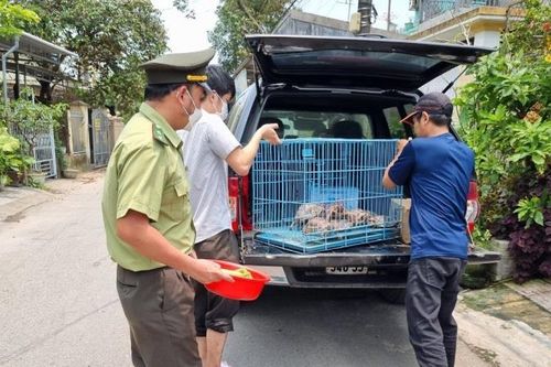 Cần làm rõ nguyên nhân chậm lương của cán bộ kiểm lâm Huế sau sáp nhập
