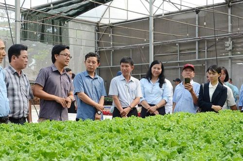 Người dân TPHCM làm giàu từ nông nghiệp