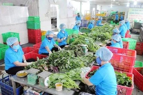 Tăng mức răn đe với vi phạm an toàn thực phẩm