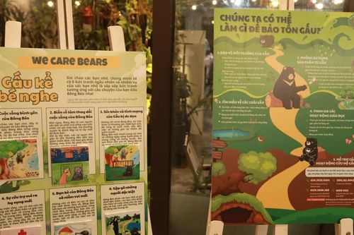 Đến 'We Care Bears' không chỉ để ngắm nhìn