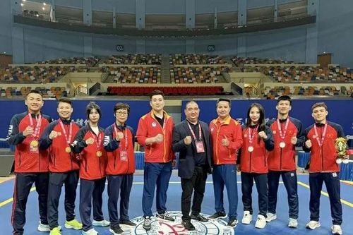 Đội tuyển wushu Việt Nam xếp thứ Nhì toàn đoàn Cup tán thủ thế giới 2025
