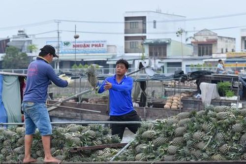 Chìm dần chợ nổi miền Tây - bài cuối: Bảo tồn văn hóa chợ nổi, hành động ngay