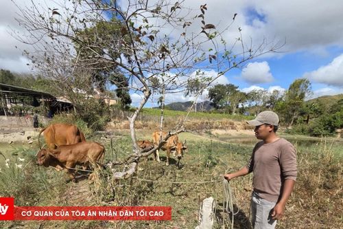 Vốn tín dụng chính sách - 'đòn bẩy' giúp dân Kon Rẫy thoát nghèo