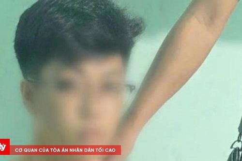 Phát hiện 2 thùng giấy chứa thực vật khô nghi là ma túy