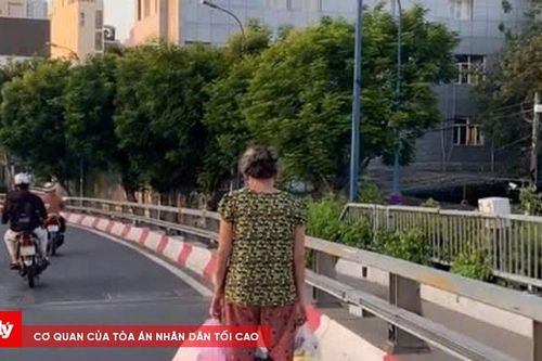 Phạt người phụ nữ đi xe điện cân bằng trên cầu