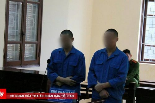 Xét xử hai anh em tàng trữ ma túy