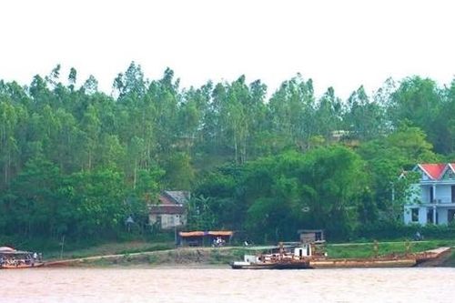 Tình cương(*)