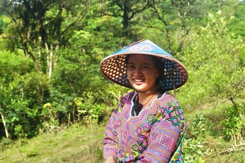 Chương trình 1719: Kỳ tích giảm nghèo ở vùng dân tộc thiểu số