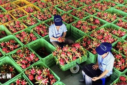 Singapore triển khai nền tảng số trong quản lý chất lượng sản phẩm nhập khẩu