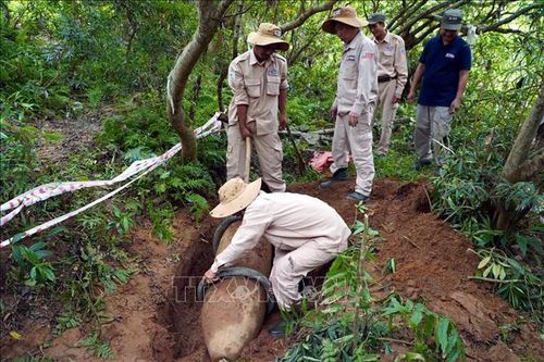 Kiện toàn Ban Chỉ đạo quốc gia khắc phục hậu quả bom mìn và chất độc hóa học sau chiến tranh