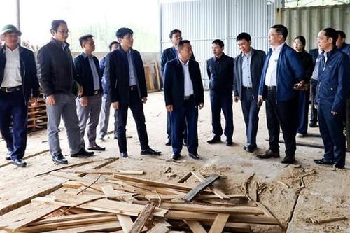 Nghệ An: Đề nghị điều chỉnh dự án sản xuất gỗ ván sợi MDF 2.800 tỷ đồng chậm tiến độ