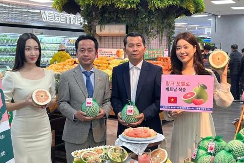 Bưởi Việt Nam lần đầu lên kệ Lotte Mart Hàn Quốc