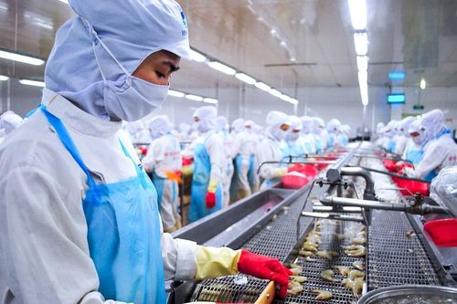 Nhận diện rào cản của doanh nghiệp ĐBSCL