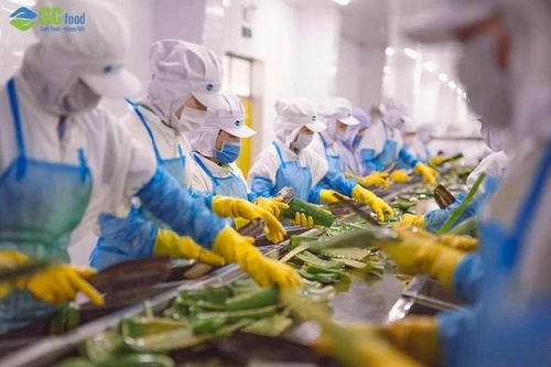 'Vua nha đam' đặt mục tiêu lợi nhuận 90 tỷ đồng