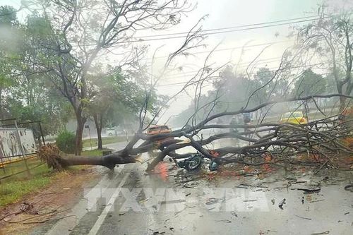 Mưa đá gây thiệt hại tại Bình Dương