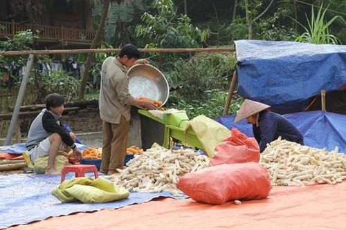 Giải pháp bảo đảm sinh kế cho người lao động sau thiên tai
