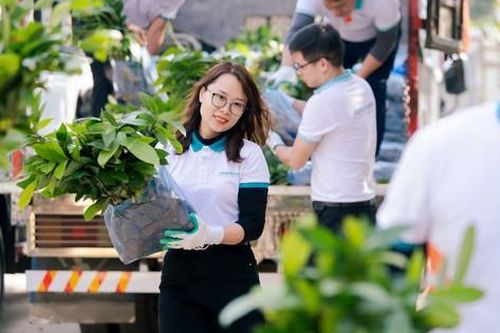 Từ cam kết đến hành động: ABBANK hoàn thành mục tiêu tặng 100.000 cây quế cho người dân Yên Bái
