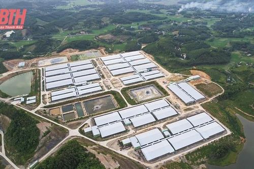 Tháo gỡ khó khăn, đẩy nhanh tiến độ các dự án chăn nuôi quy mô lớn