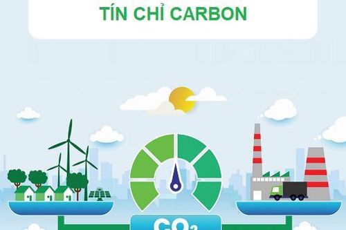 Sẽ có sổ tay hướng dẫn doanh nghiệp Việt Nam tham gia thị trường carbon
