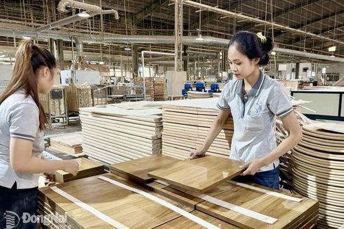 Ngành nông, lâm, thủy sản lo lắng trước chính sách thuế mới của Mỹ
