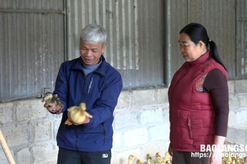 Ông Ngọ làm giàu từ mô hình kinh tế tổng hợp