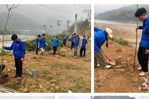 Trồng cây cảnh quan góp phần phát triển du lịch