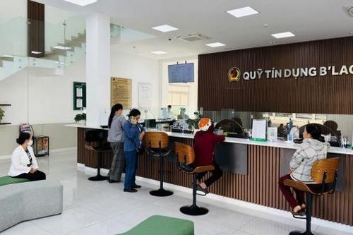 Lâm Đồng có 3 đơn vị được tặng danh hiệu Ngôi sao Hợp tác xã năm 2025