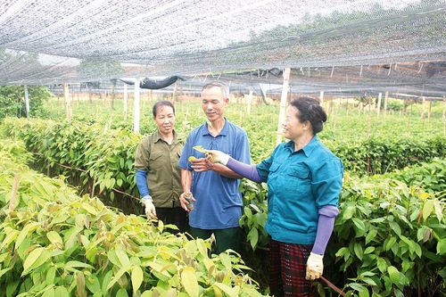 Đồng hành với cựu chiến binh