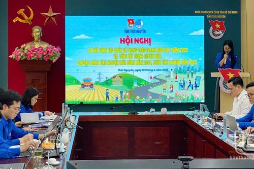 Triển khai hiệu quả các hoạt động tình nguyện