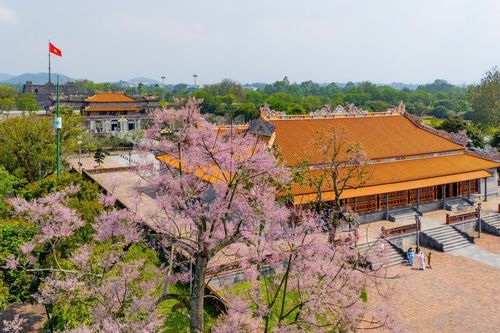 Bản tin Văn hóa du lịch ngày 10/4
