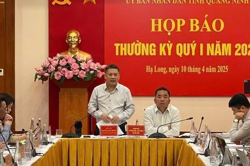 Quảng Ninh xử phạt 50 tỷ vi phạm giao thông trong 3 tháng