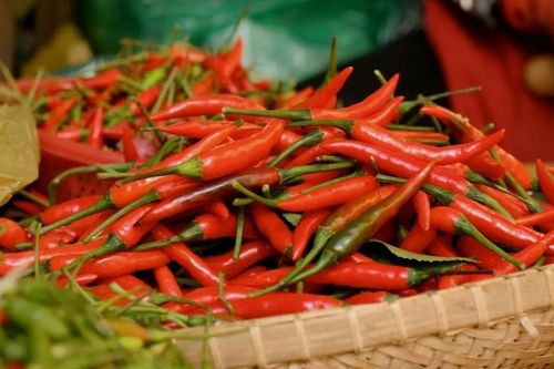 Giá ớt bất ngờ tăng cao kỷ lục, người trồng 'trúng đậm'