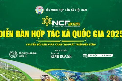 Đột phá chuyển đổi xanh tại Diễn đàn Hợp tác xã Quốc gia 2025