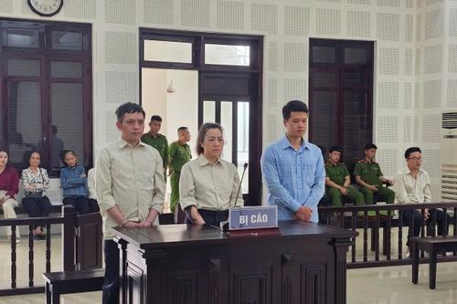 Xét xử nhóm làm thị thực 'chui' xuất cảnh sang châu Âu để thu Euro