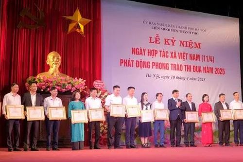 Liên minh HTX Hà Nội phát động phong trào thi đua
