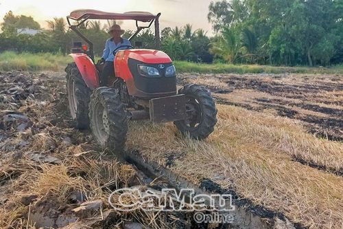 Chuẩn bị xuống giống vụ lúa hè thu